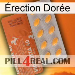 Érection Dorée 43